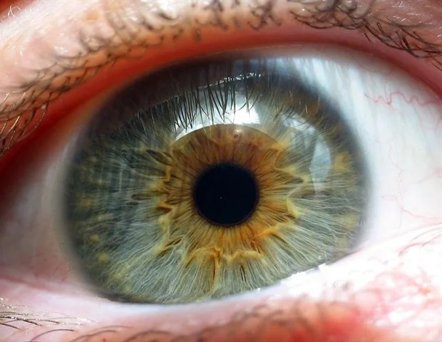 Retinal Disease